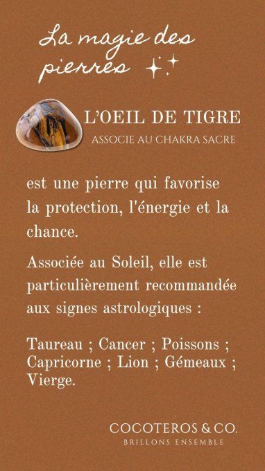 Collier Rhéa Oeil de Tigre